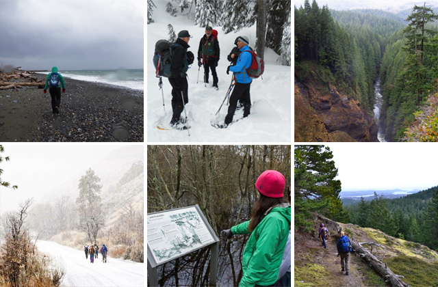 The views from six very different trails. Photos (clockwise from top left) by: Ebey's Landing by KatieMae, Commonwealth Basin by Anna Roth, Wallace Falls by Taum Sauk, Sugarloaf by calixtomoon, Narbuck Wetland Sanctuary by SurvivingUrban, Oak Creek Road - Bethel Ridge by David Hagen. 
