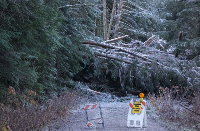 Trees and a landslide across the West Fork Foss Road are limiting access to trailheads beyond. Photo by mercaptan. 