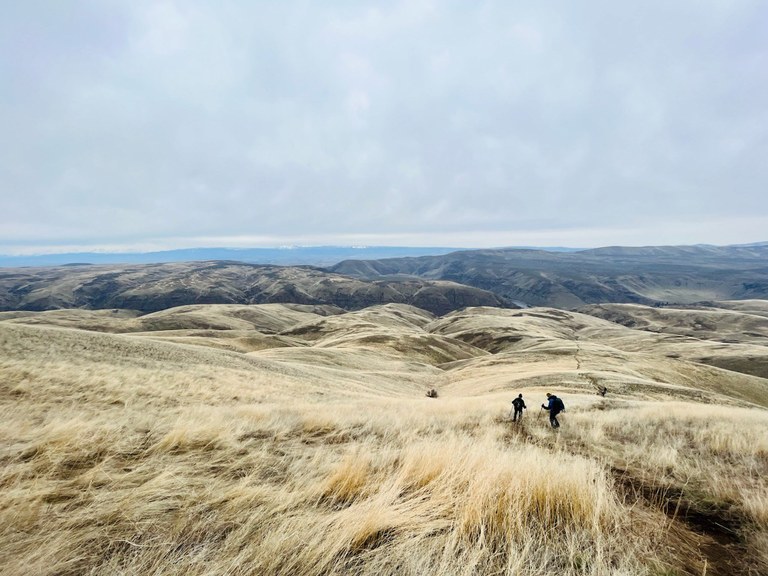 wishfulwanderer umtanum.jpeg